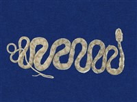 藏品(大頭蛇)的圖片